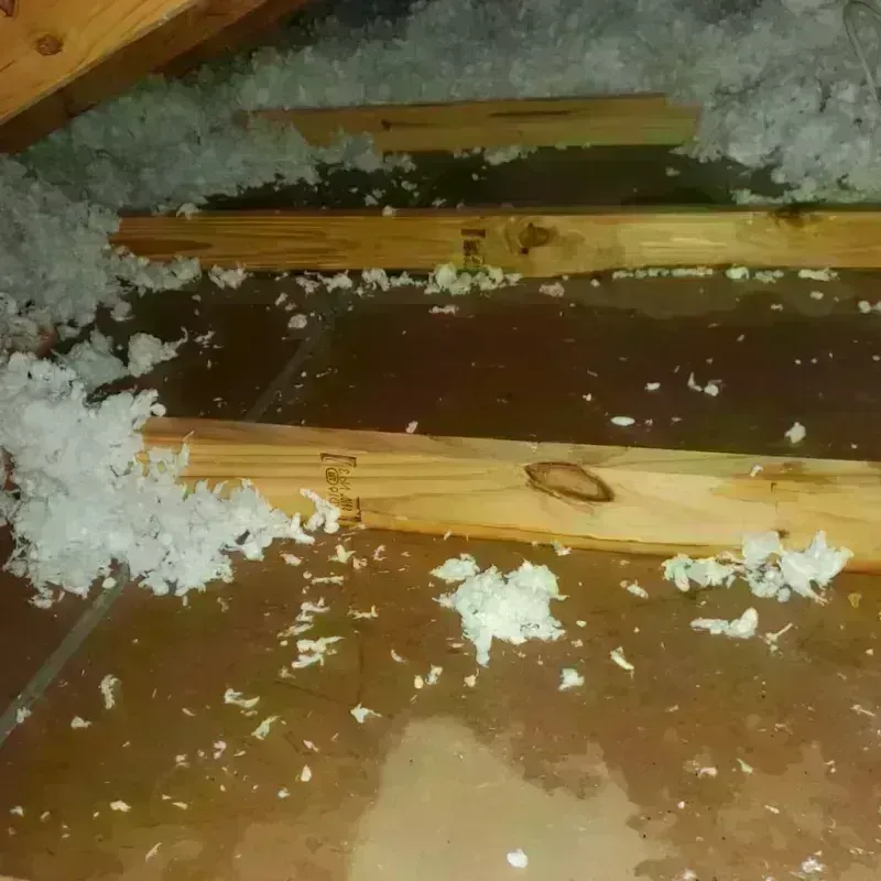 Attic Water Damage in San Bernardino, CA