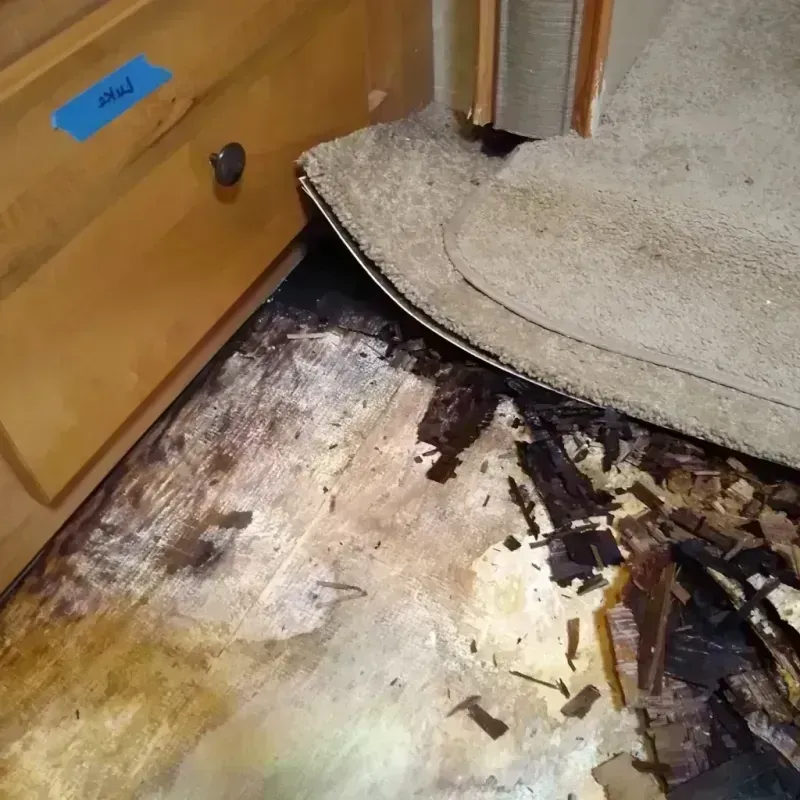 Wood Floor Water Damage in San Bernardino, CA